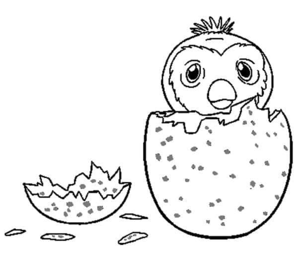 Hatchimals