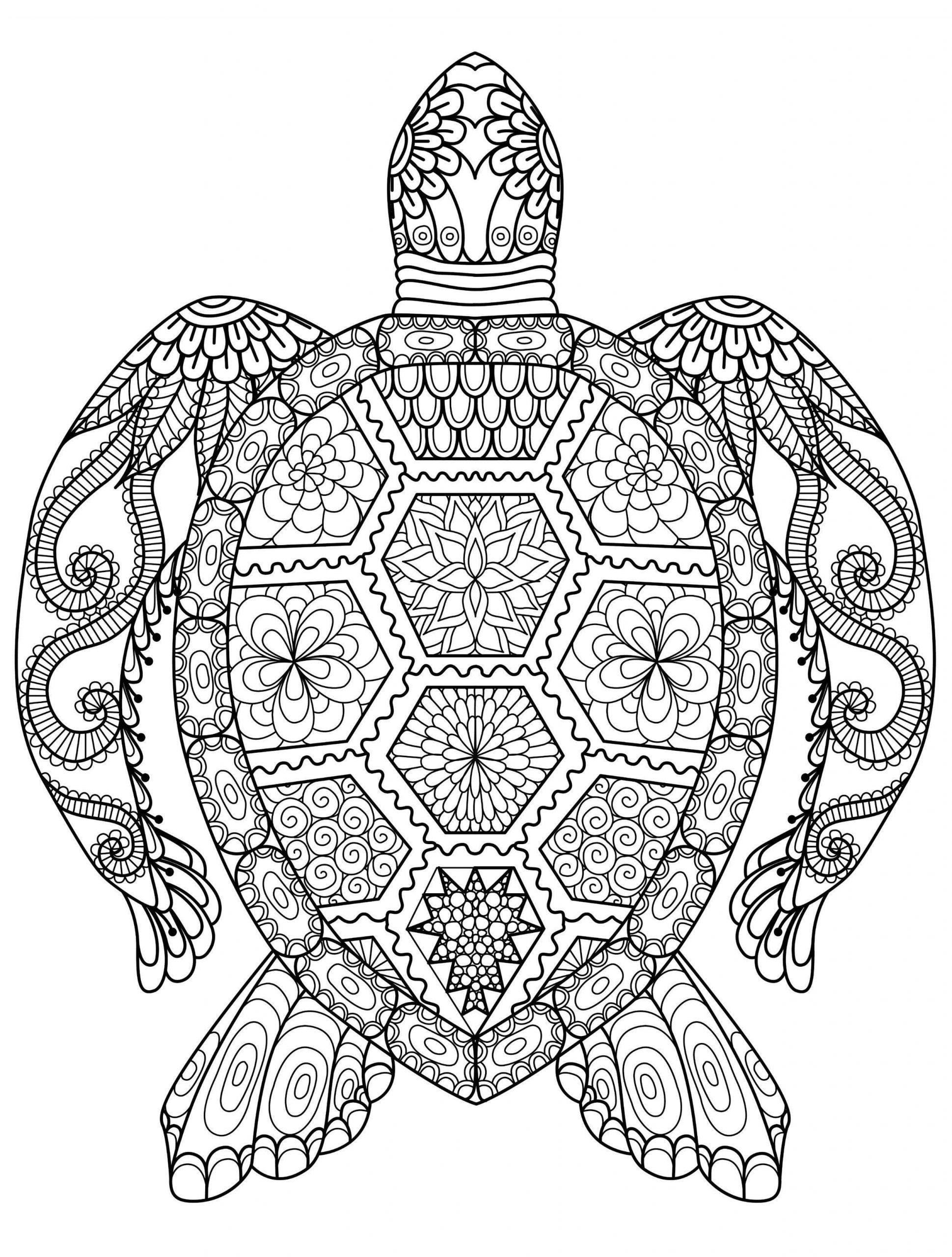 Ilkbahar