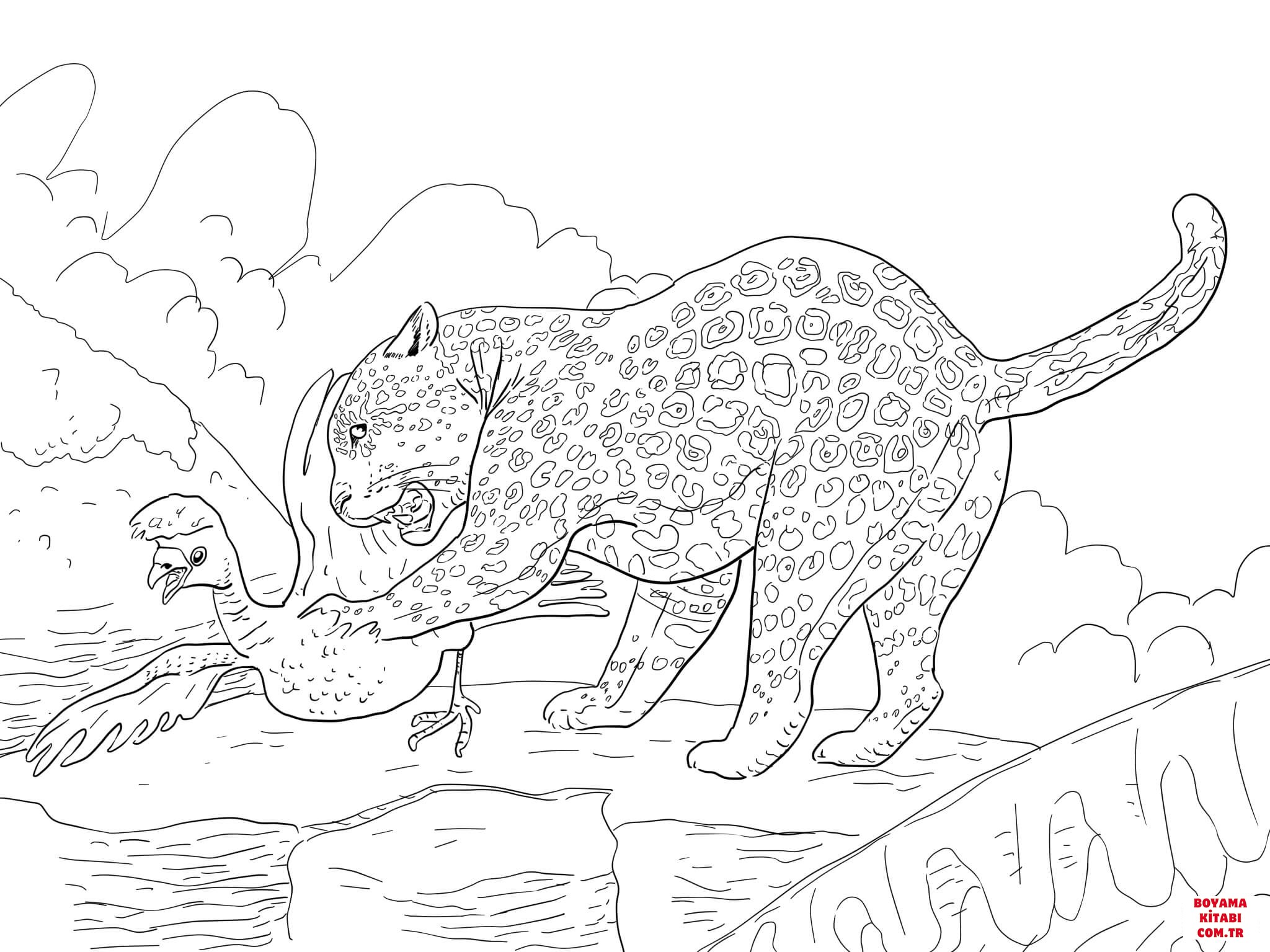 Jaguar