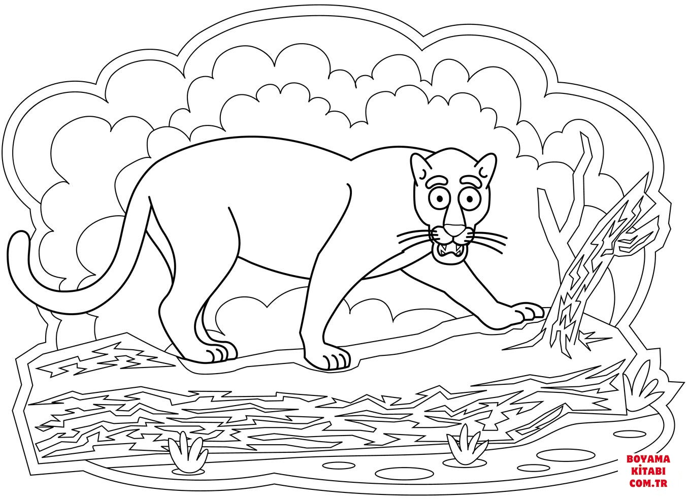 Jaguar