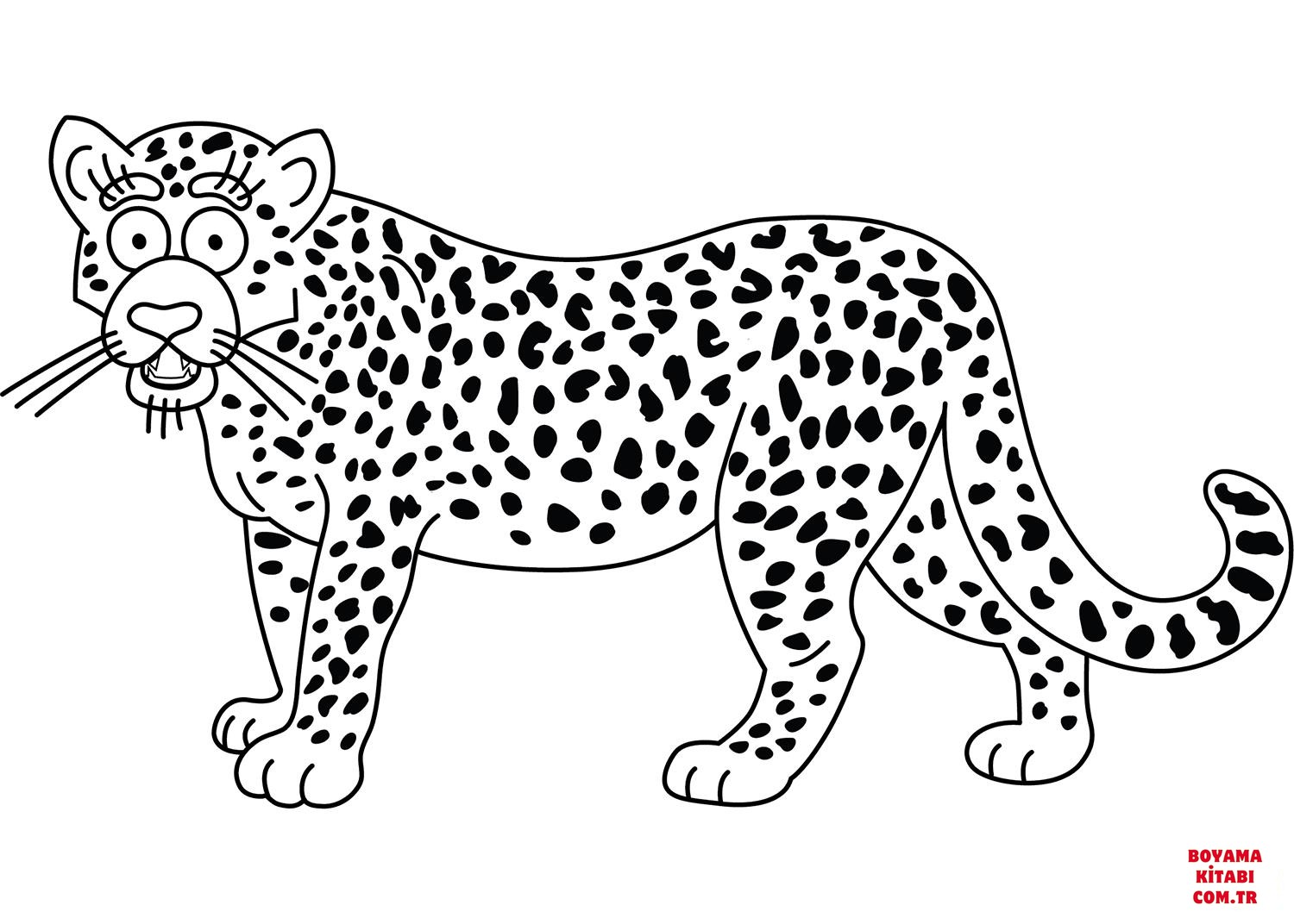 Jaguar