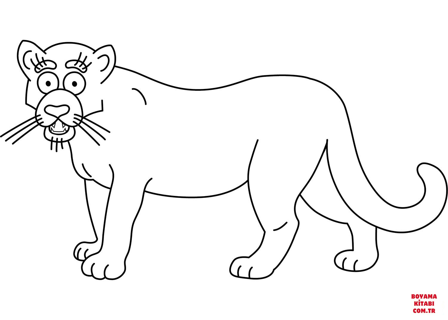 Jaguar