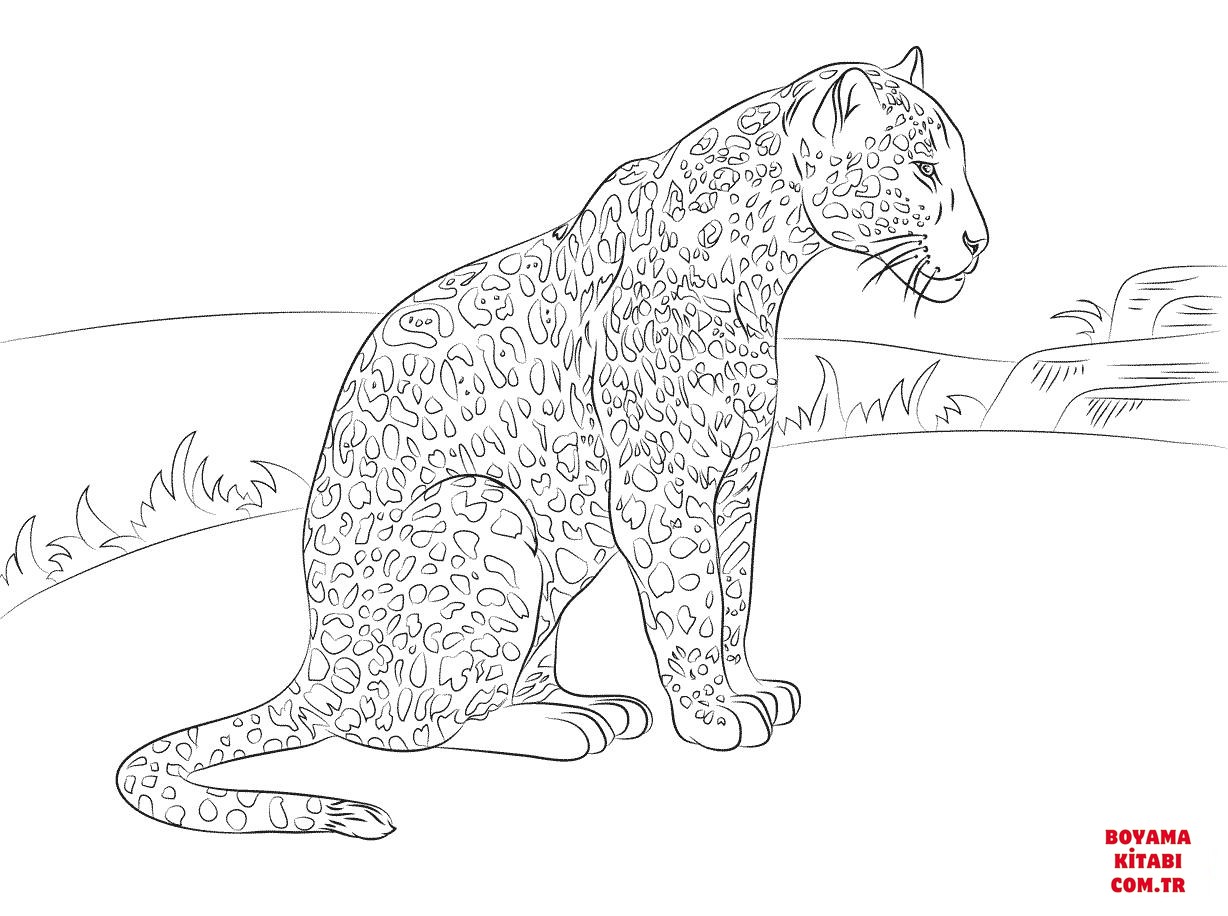 Jaguar
