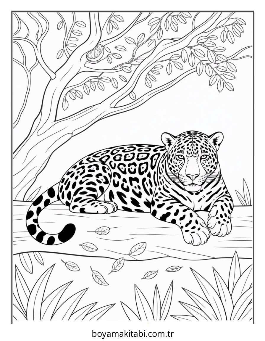 Jaguar