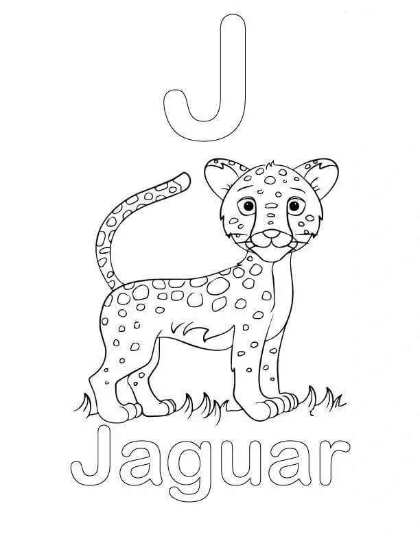 Jaguar