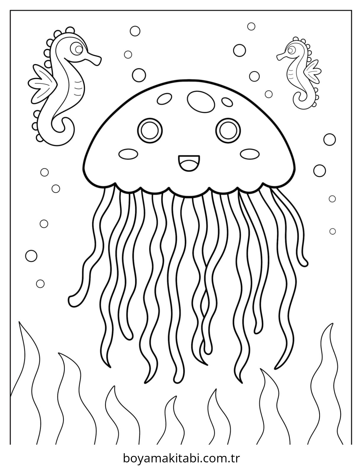 Jellyfish