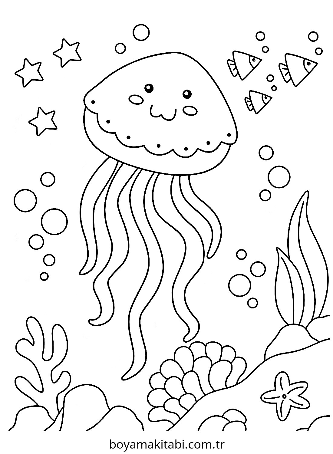 Jellyfish