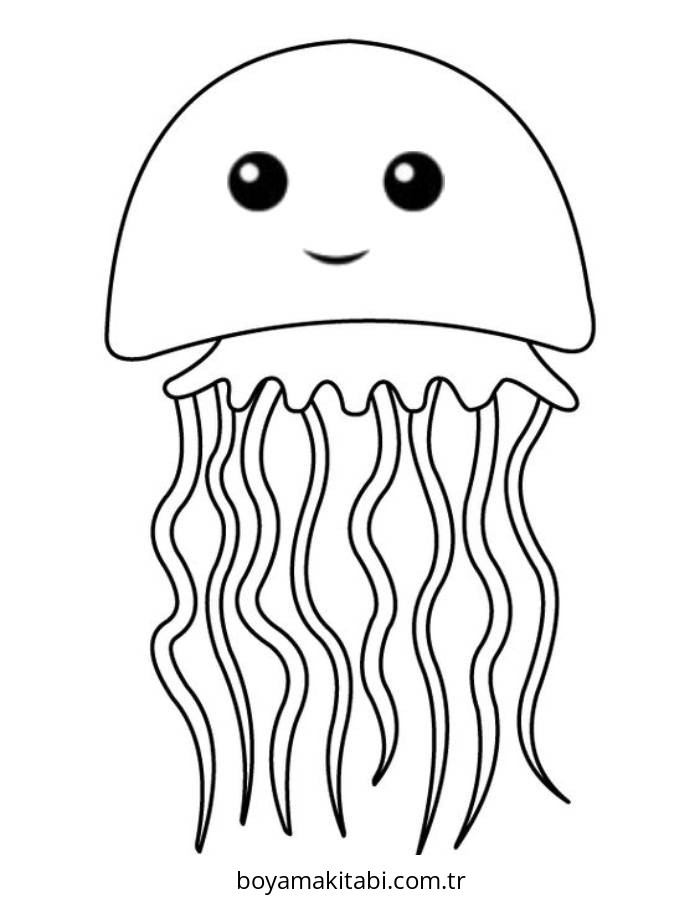 Jellyfish