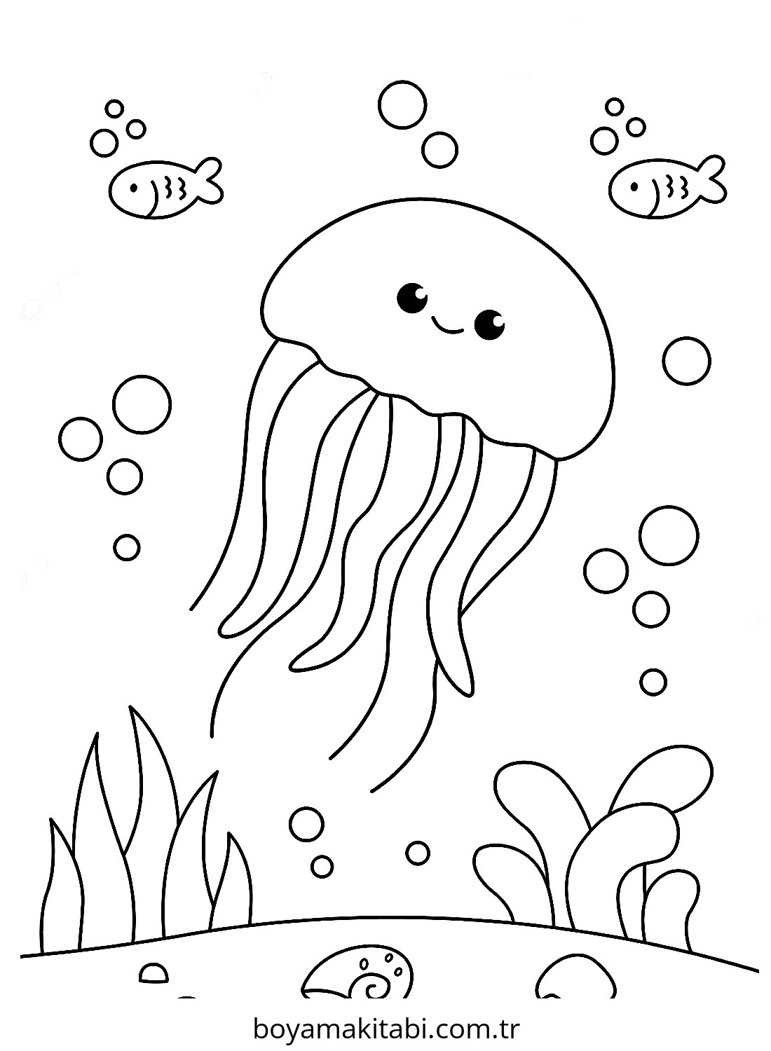 Jellyfish
