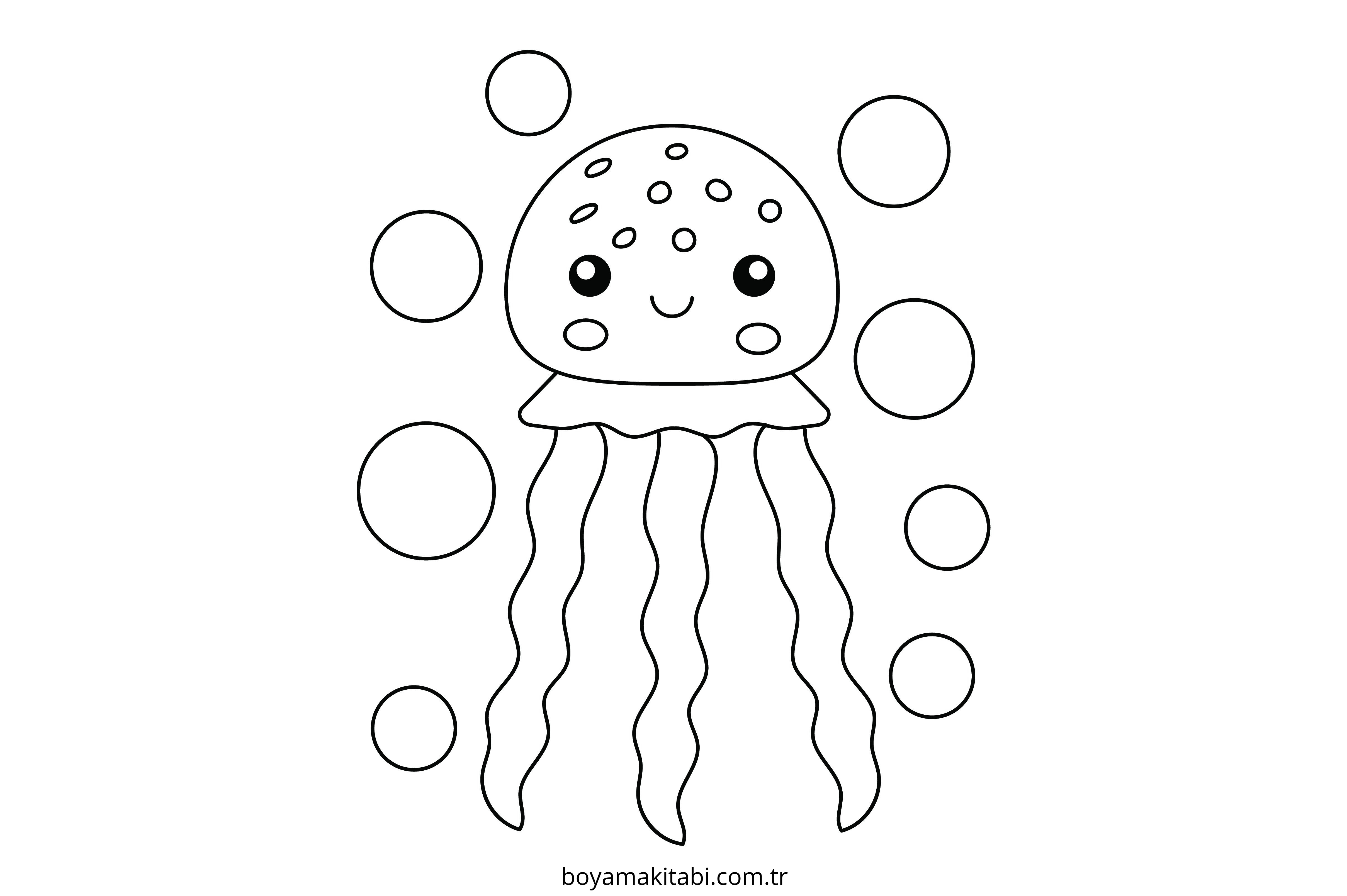 Jellyfish