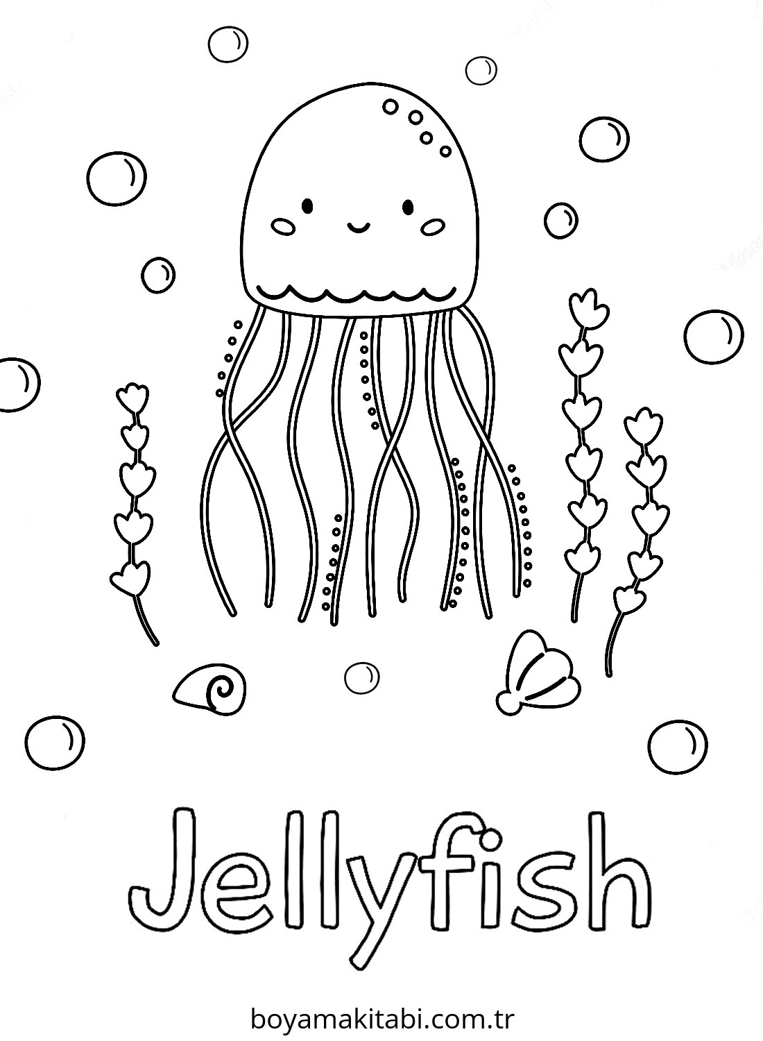 Jellyfish