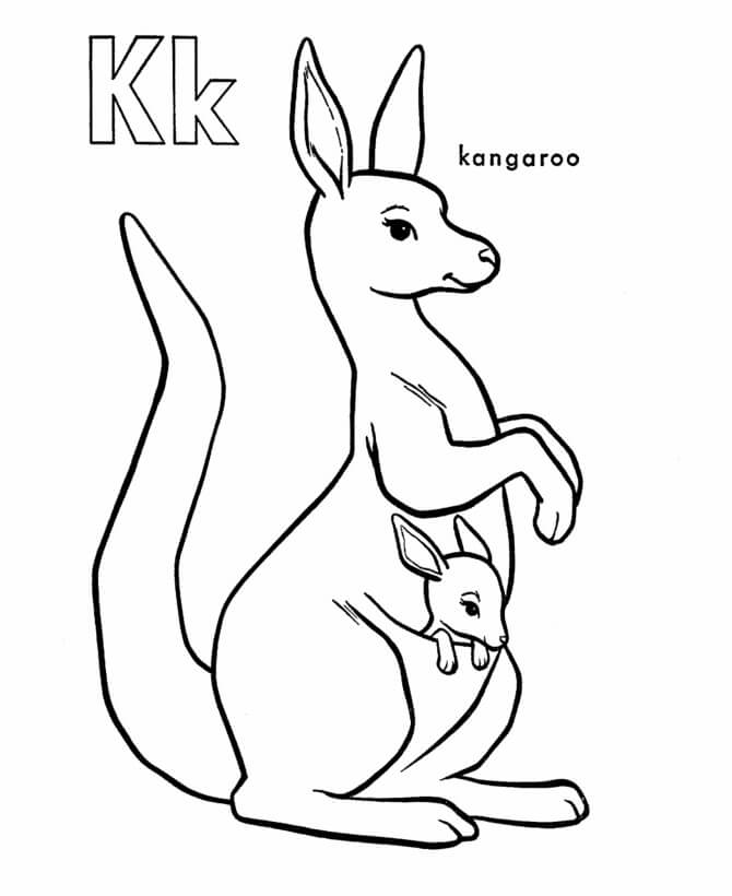 Kanguru