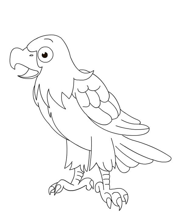 Kartal