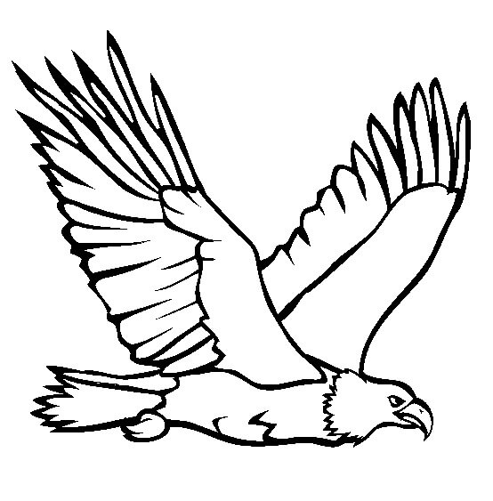 Kartal