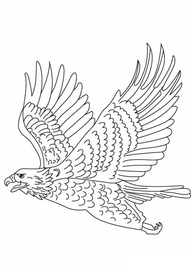 Kartal