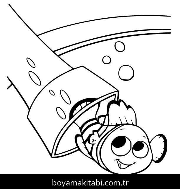 Kayıp Balık Nemo