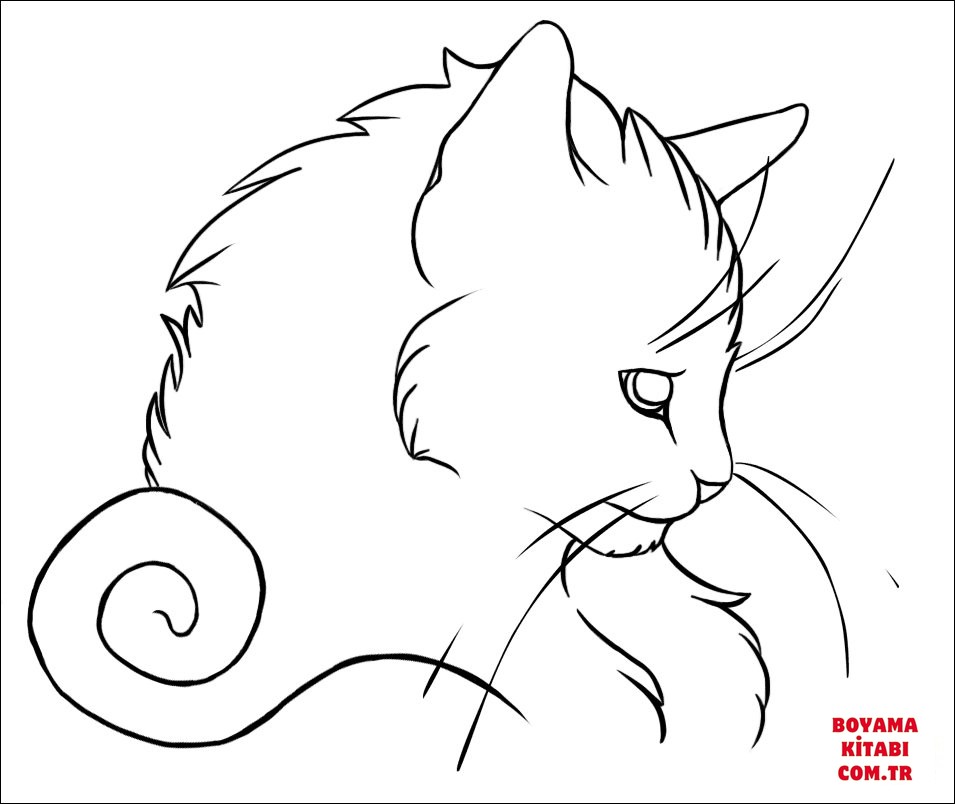 Kedi
