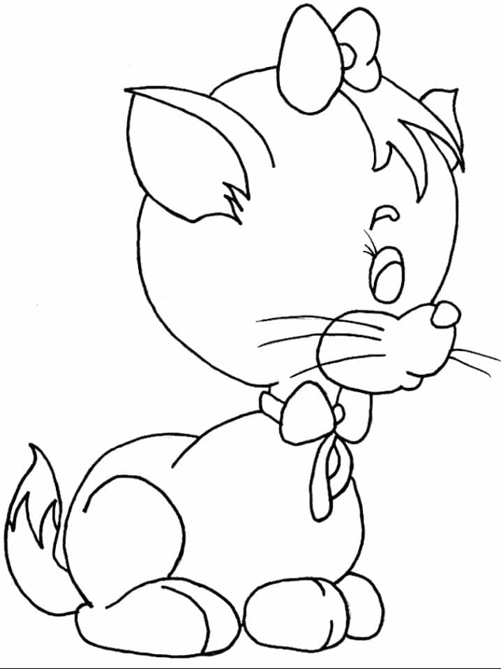 Kedi Yavrusu