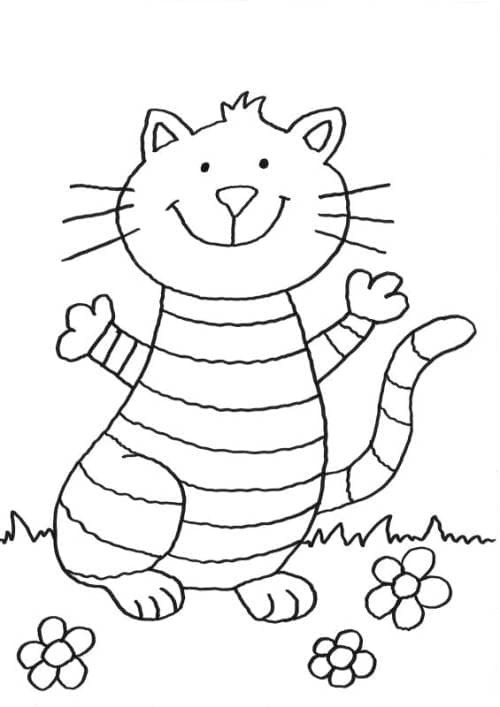 Kedi Yavrusu