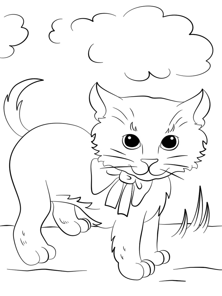 Kedi Yavrusu