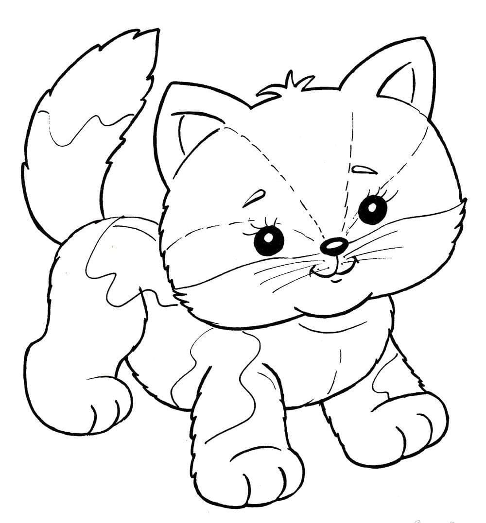 Kedi Yavrusu
