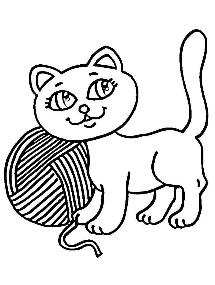 Kedi Yavrusu