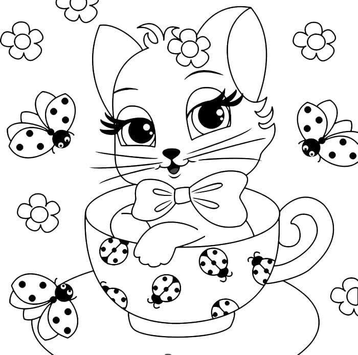 Kedi Yavrusu