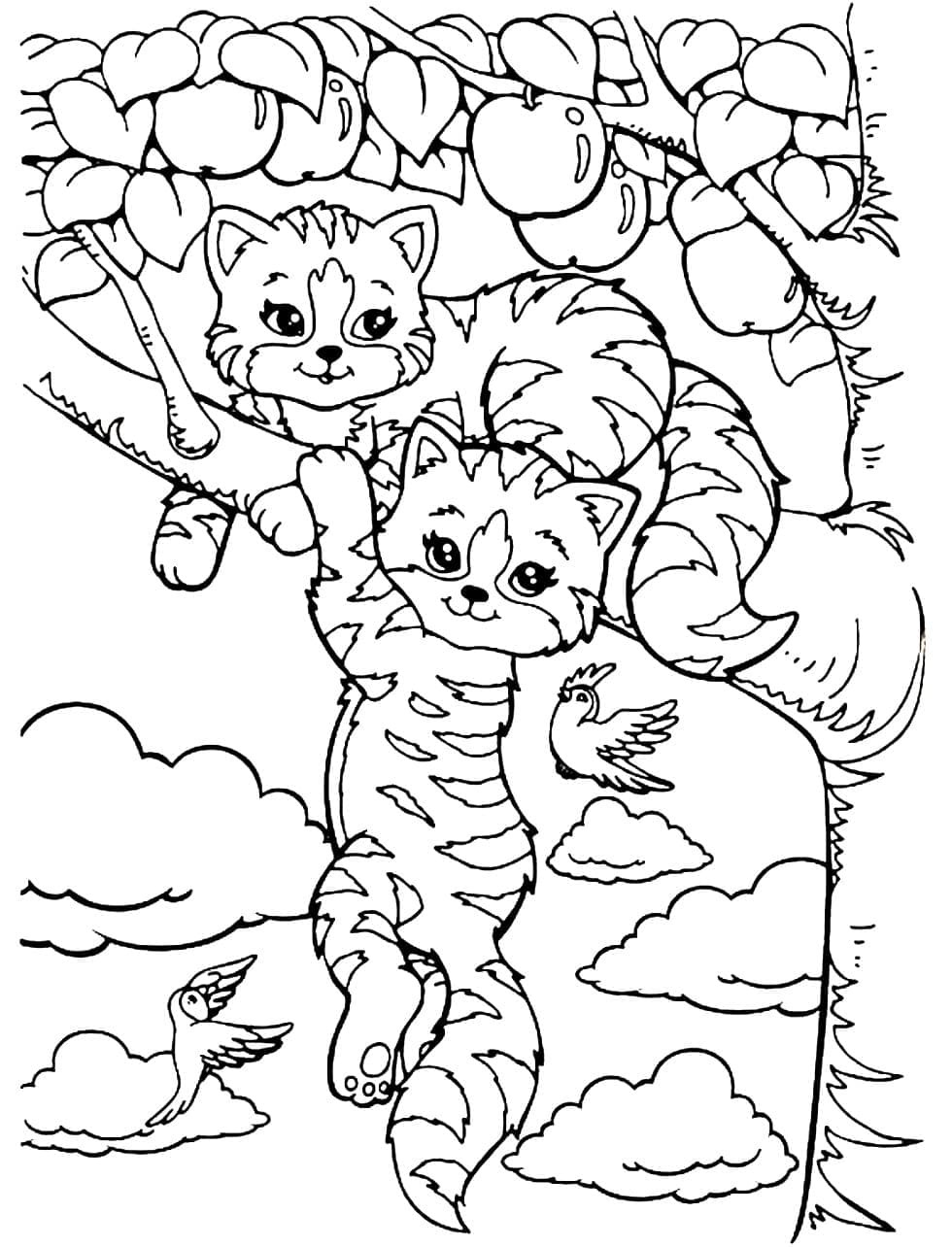 Kedi Yavrusu