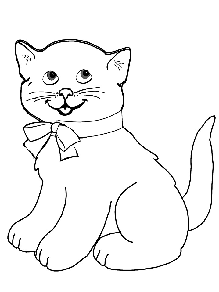 Kedi Yavrusu