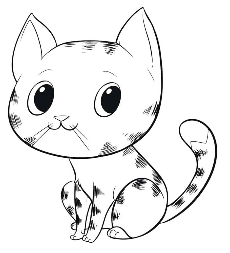 Kedi Yavrusu