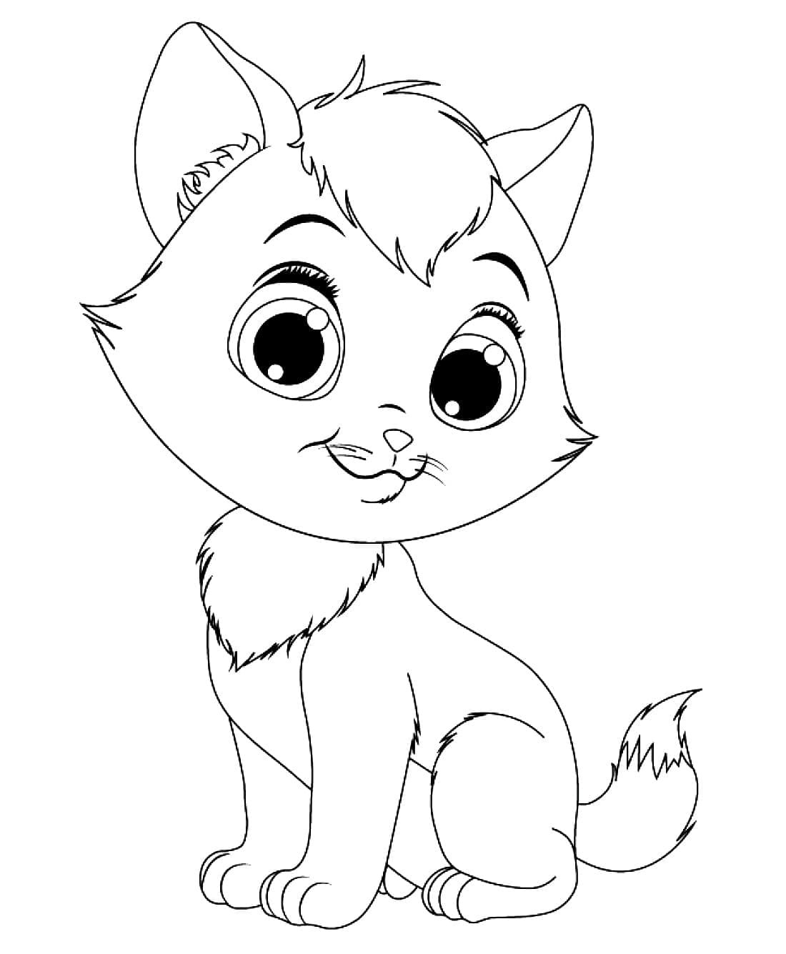 Kedi Yavrusu