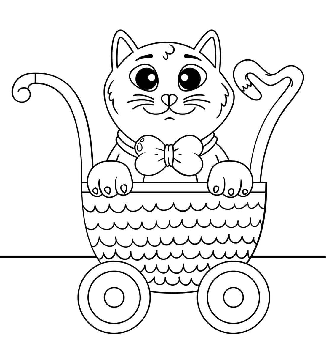 Kedi Yavrusu