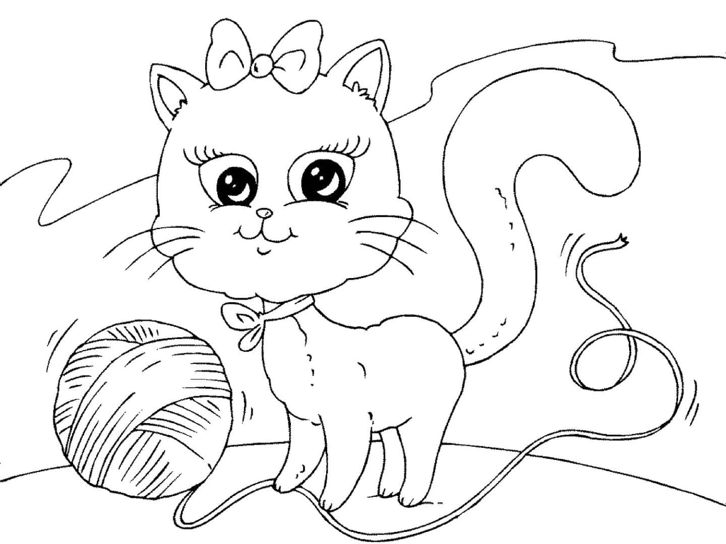 Kedi Yavrusu