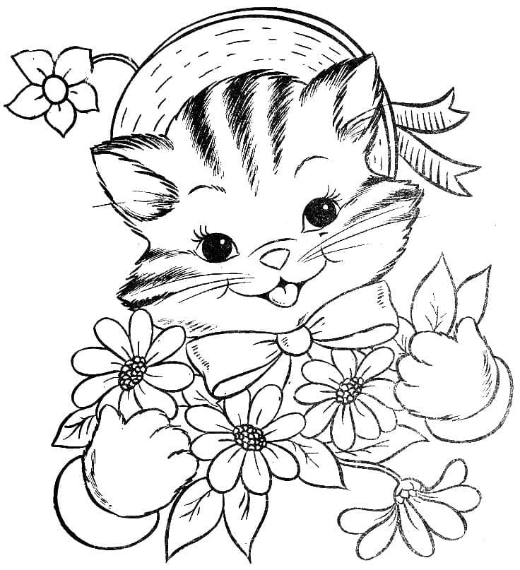 Kedi Yavrusu