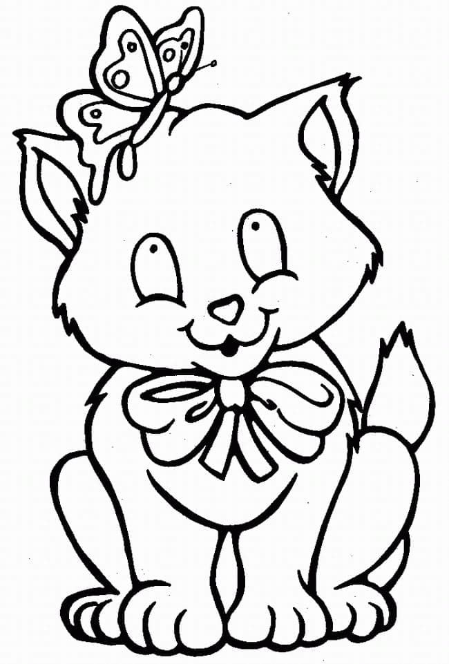 Kedi Yavrusu