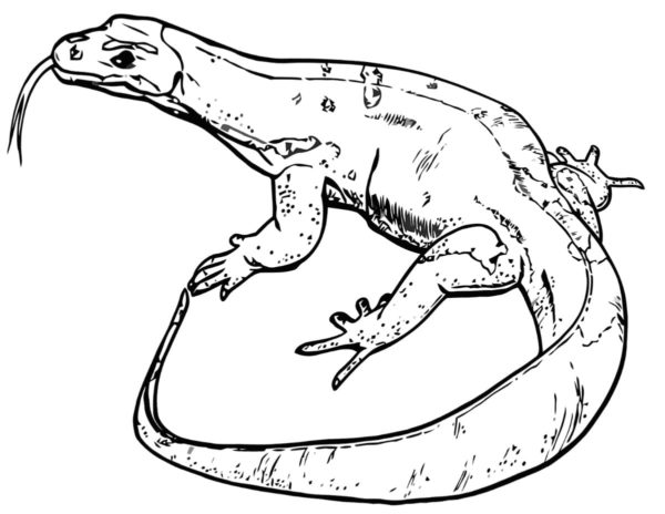 Kertenkele