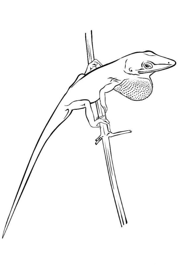 Kertenkele