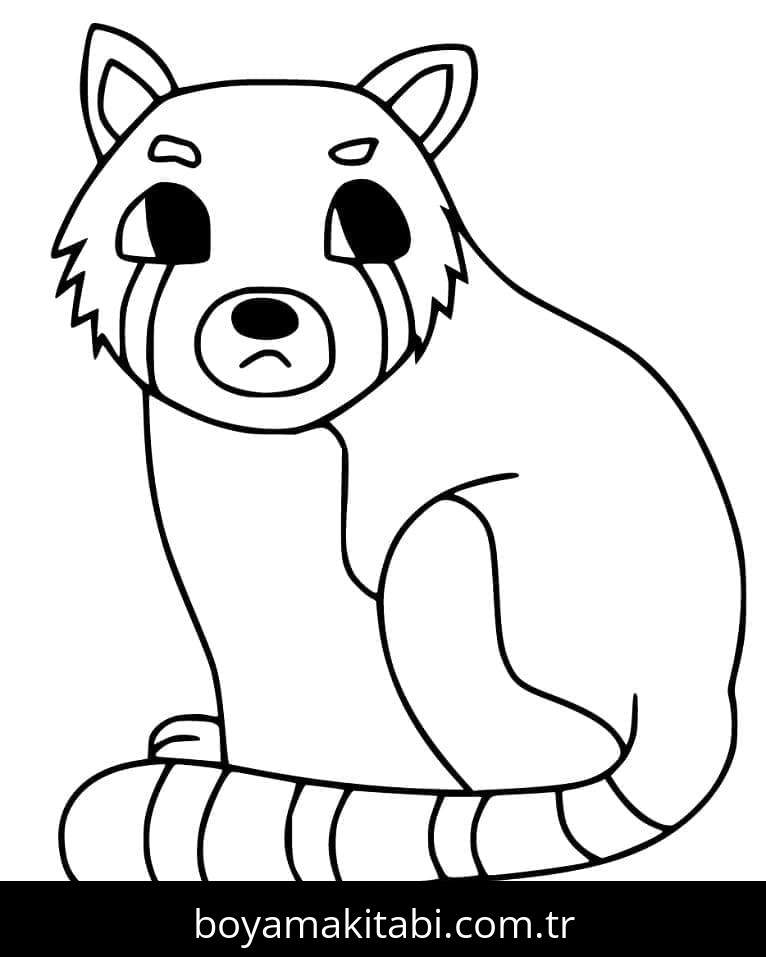 Kırmızı Panda
