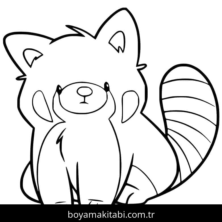 Kırmızı Panda