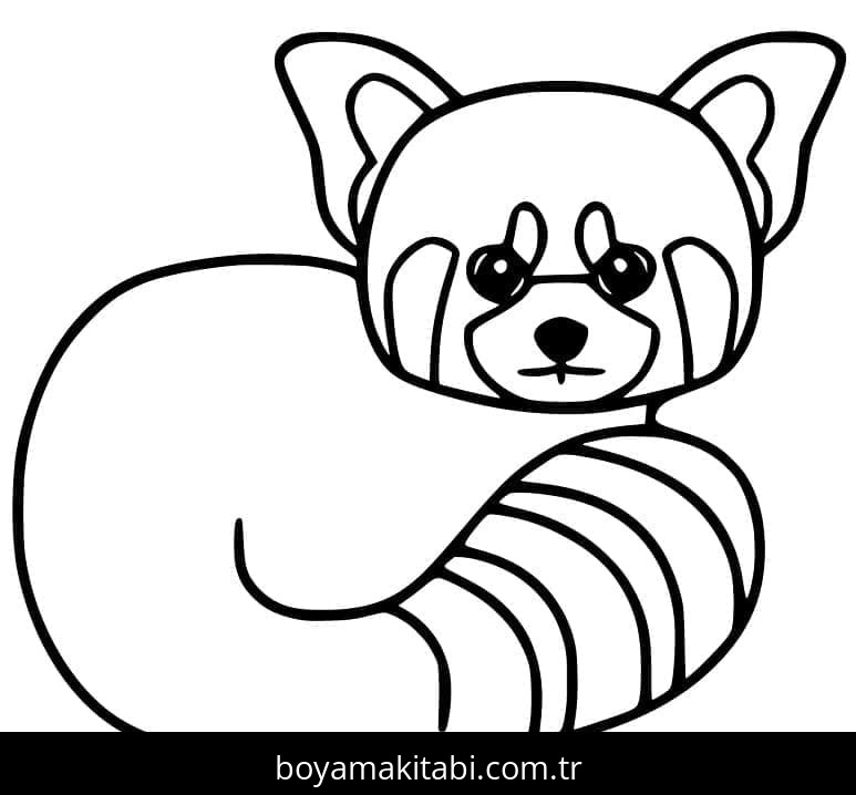 Kırmızı Panda