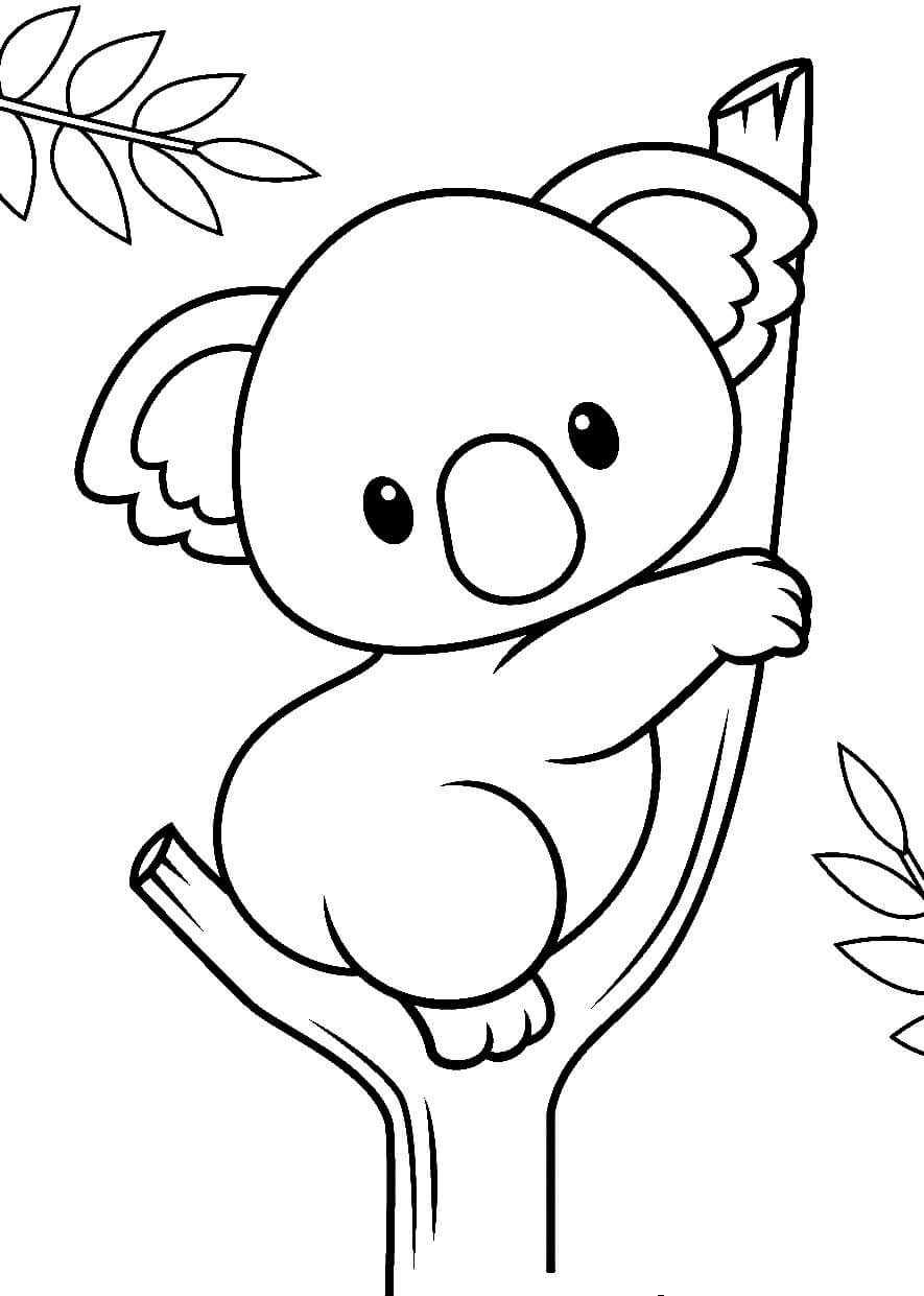 Koala