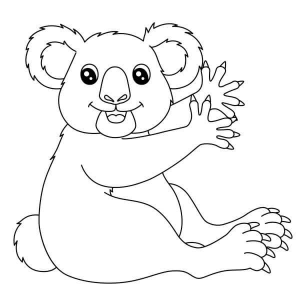 Koala