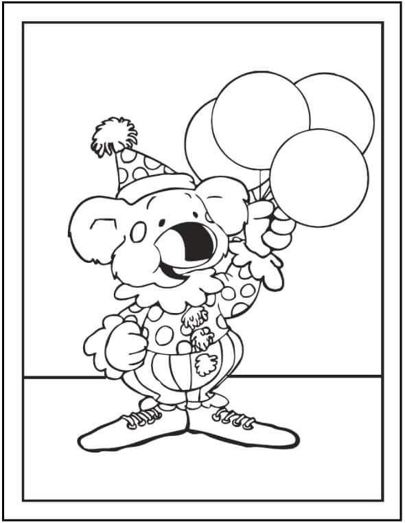 Koala