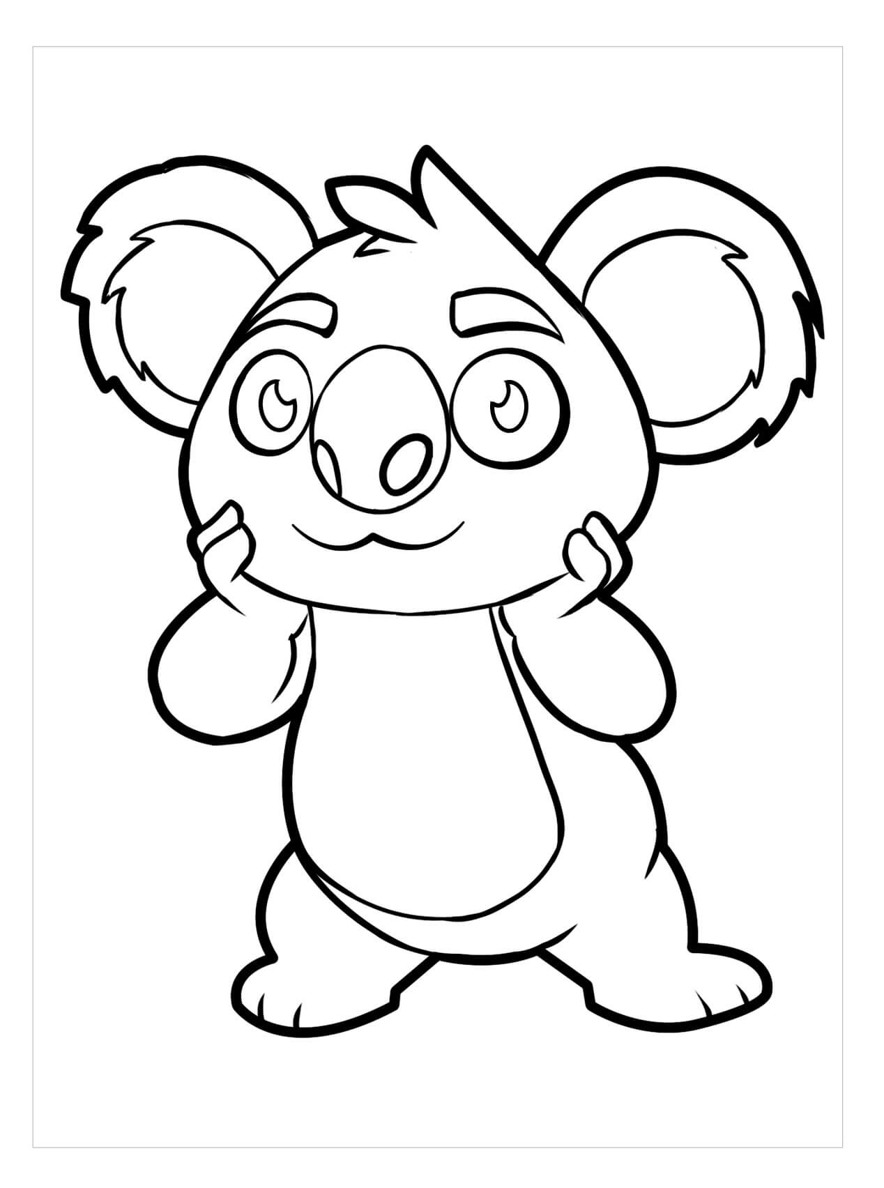 Koala