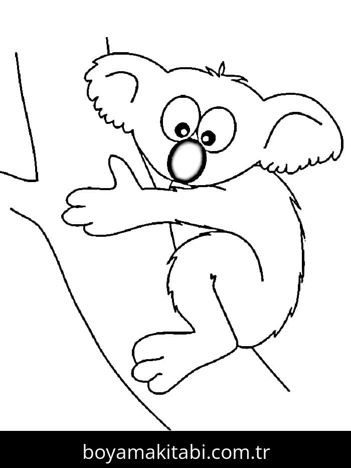 Koala