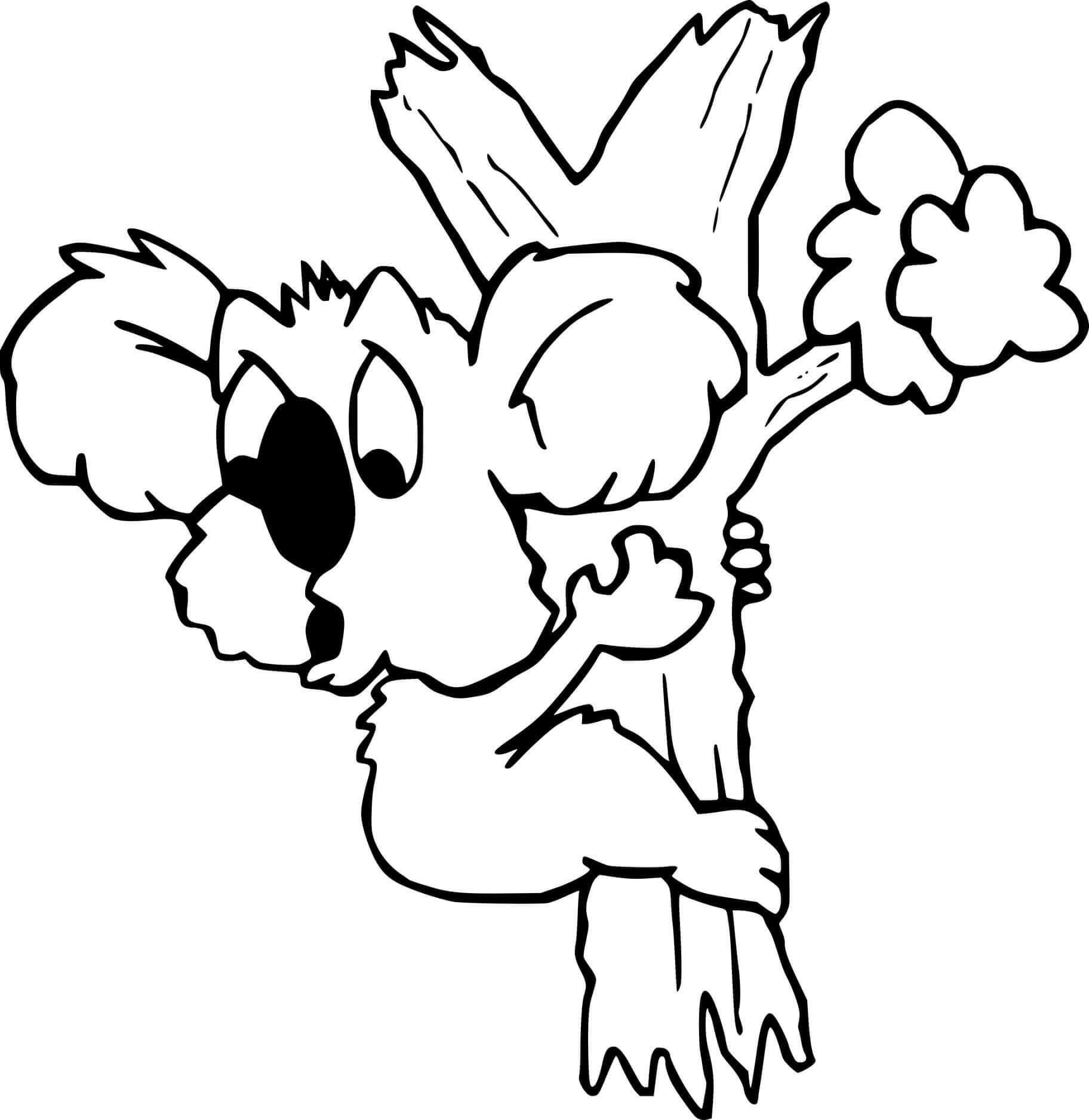 Koala