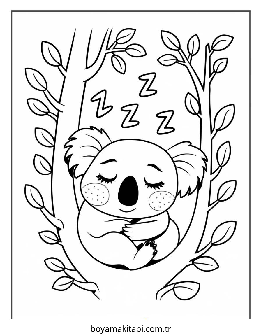 Koala