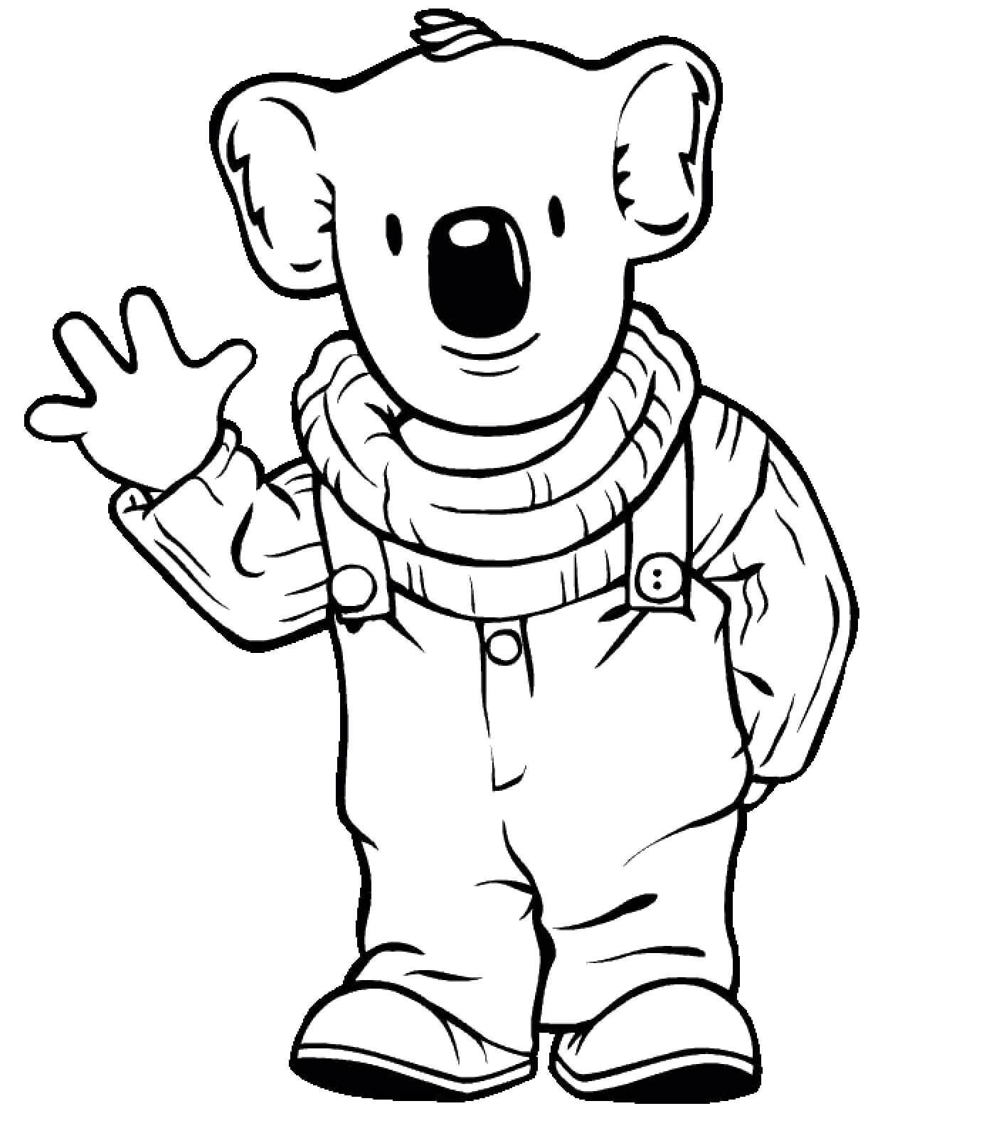 Koala
