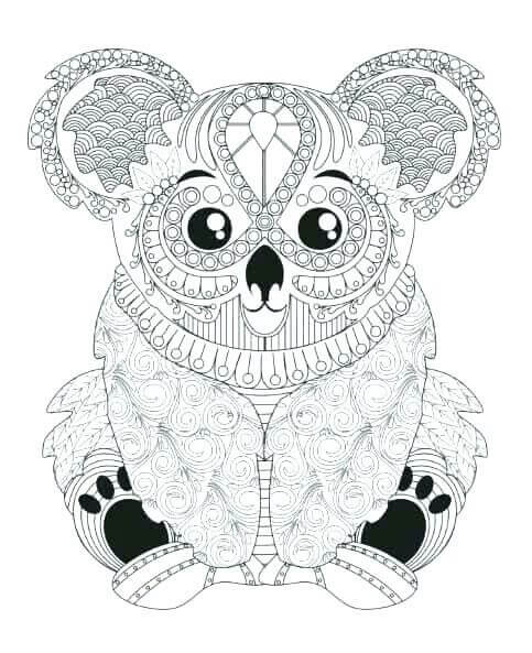 Koala