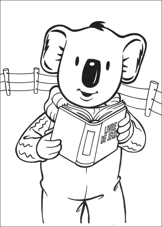 Koala